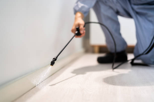 Licensed Mosquito Control service in Wickenburg, AZ - Show Me Pest Control