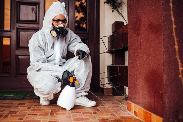 Reliable Mosquito Control contractor in Wickenburg, AZ by Show Me Pest Control